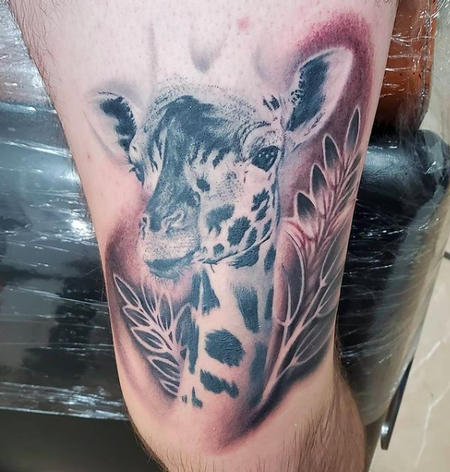 Tattoos - Giraffe - 142446